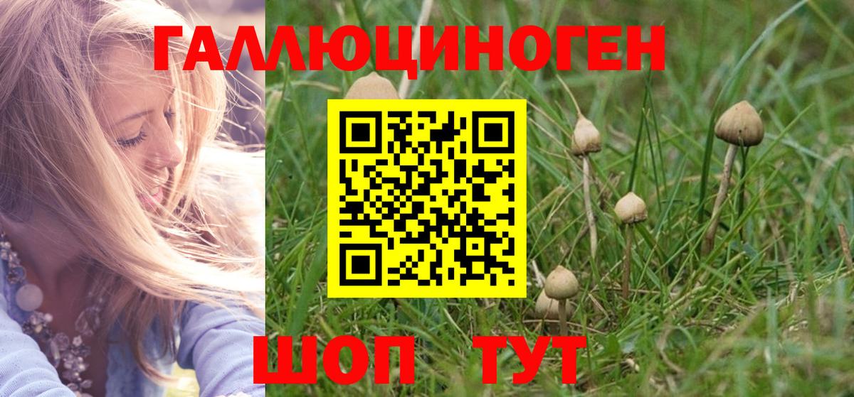 Галлюциногенные грибы ЛСД  Вход с VPN  Сертолово  Псилоцибиновые грибы прущие грибы 